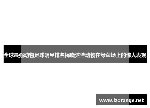 全球最强动物足球明星排名揭晓这些动物在绿茵场上的惊人表现